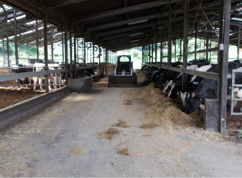 予約 ボクらの農業EC 店畜産用 パーティクルセパレーター 3段 57700 飼料 分析 ふるい 畜産 酪農 牧畜 産業動物 牛 豚 養豚 家畜  畜産用品